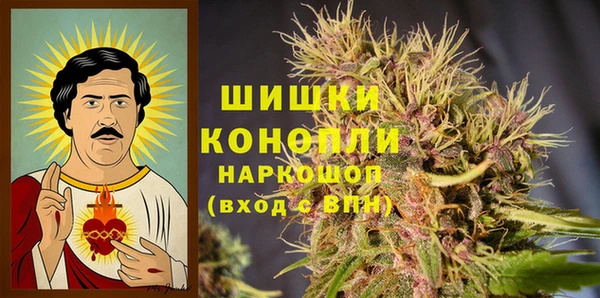 хмурый Лагань