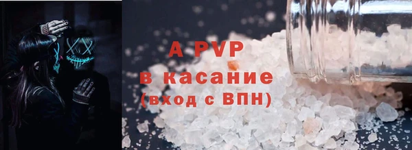 индика Чита
