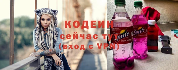 индика Чита
