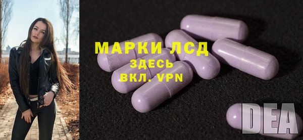 хмурый Лагань