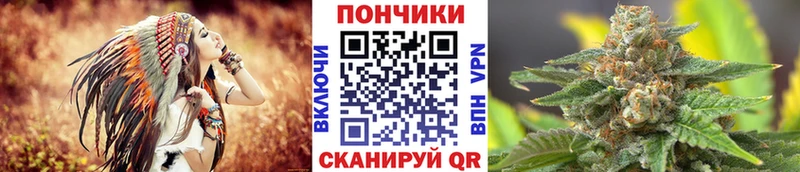 Канабис планчик  магазин продажи   Киселёвск 
